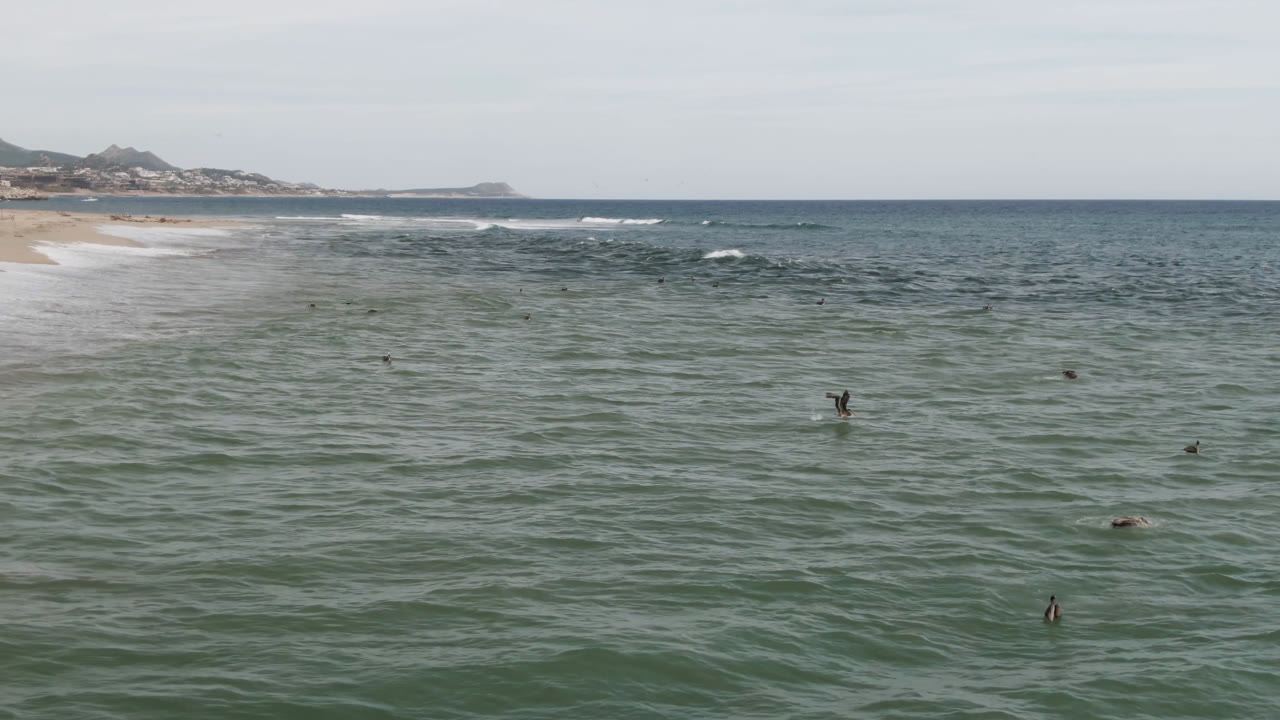 Birds flying low over choppy ocean water