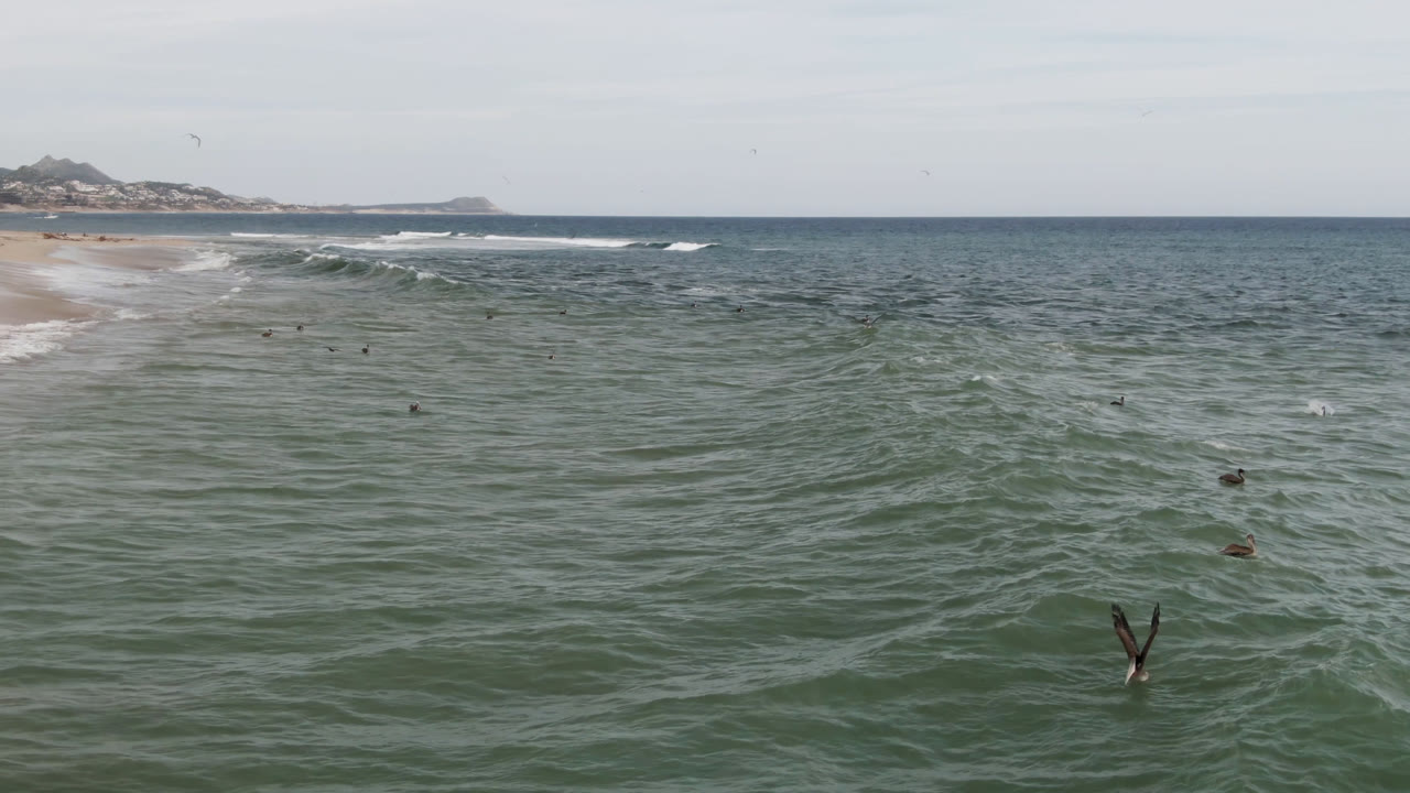 Green ocean water fills the frame near San Jose del Cabo, with a white surf line along the beach and scattered swimmers visible as small dark figures.