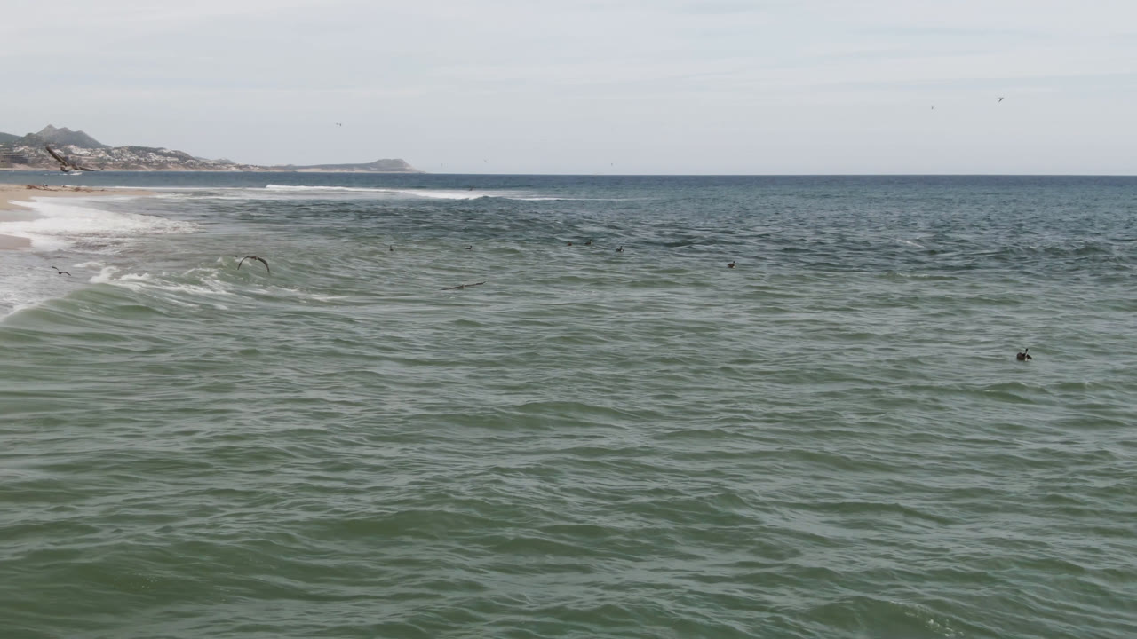 Wide ocean surf with distant surfers, birds, sandy beach, and low coastline.