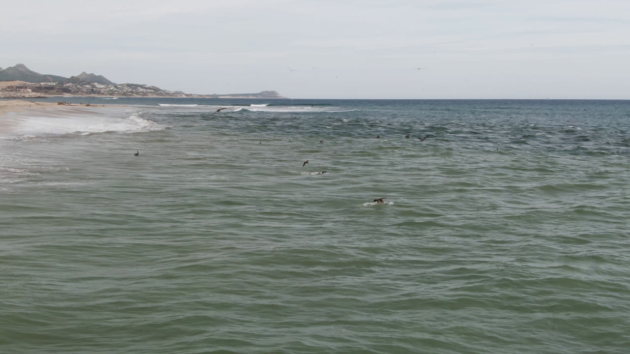 Wide green ocean with swimmers, surf, beach, distant hills, and birds.
