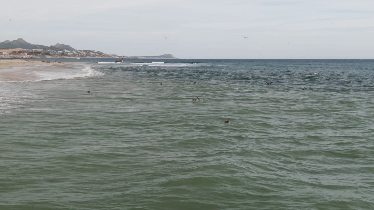 San Jose del Cabo ocean view with rippled water in the foreground, scattered swimmers in the midground, a breaking wave near shore, sandy beach, distant hills, and birds overhead.