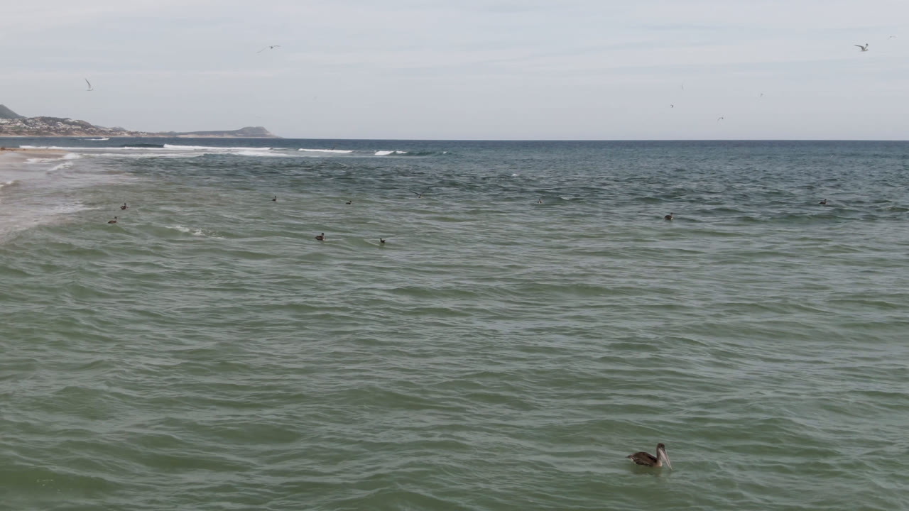 Wide ocean view with distant surfers, seabirds, low waves, and shoreline on the horizon.