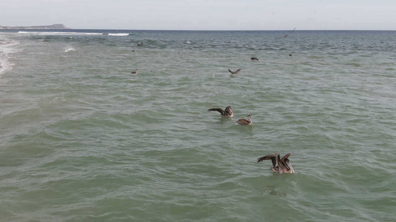 Birds flying low over rippled water with small waves near shore.
