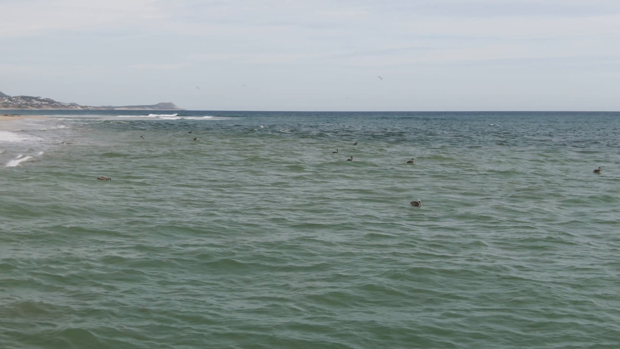 Wide San Jose del Cabo ocean frame with green water in front, white surf near the beach, low coastline on the horizon, and distant people visible in the water.