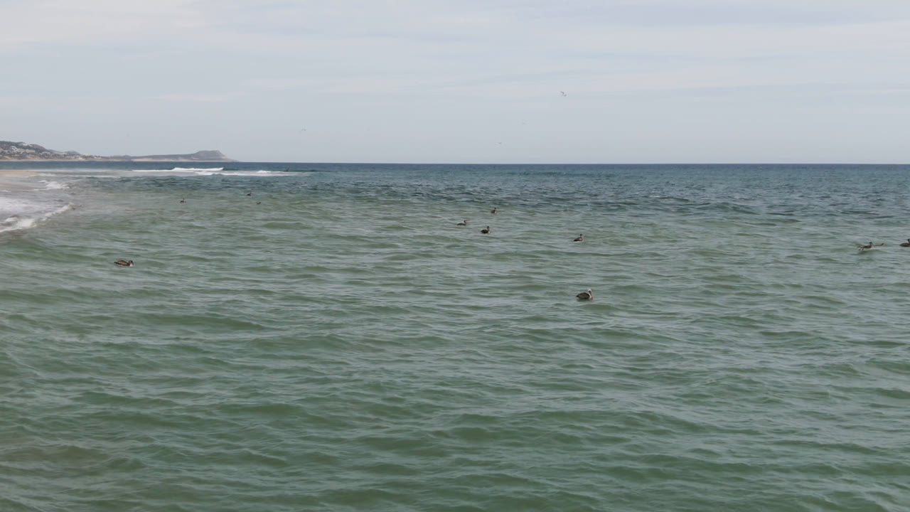 San Jose del Cabo shoreline view with choppy green water, a bright white break angling toward the beach, and tiny distant surfers or swimmers under a pale sky.