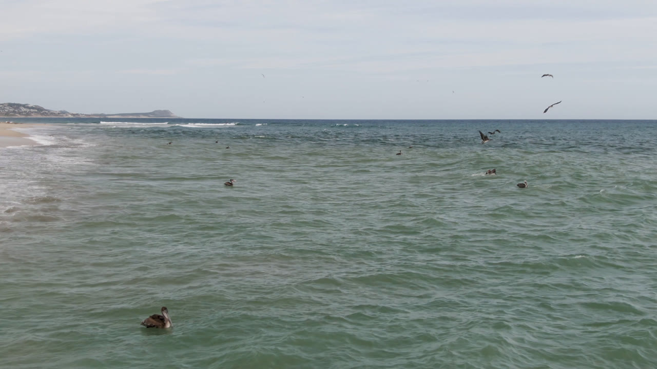 San Jose Del Cabo ocean frame with a swimmer low in the foreground, rippled green water across most of the view, pale surf at left, and low land on the horizon.