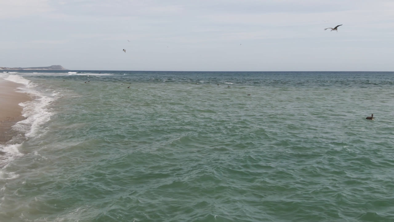 Wide ocean view with sandy beach at left and birds near the surface.