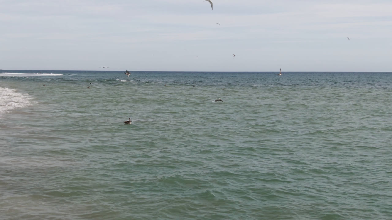 Wide San Jose del Cabo ocean view with green-blue water, a pale cloudy sky, faint surf lines, distant birds, and no visible people.