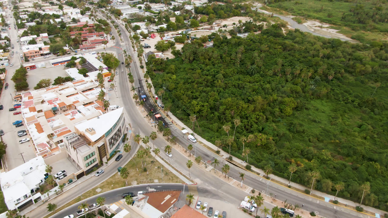 A high aerial frame over San Jose del Cabo shows a curved road, white low-rise buildings, parked cars, and dense green vegetation, with no visible people.