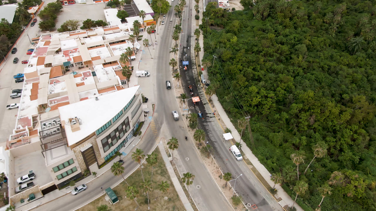 Aerial frame over San Jose del Cabo showing a road between a modern corner building and dense green trees, with cars on the street and no visible people.