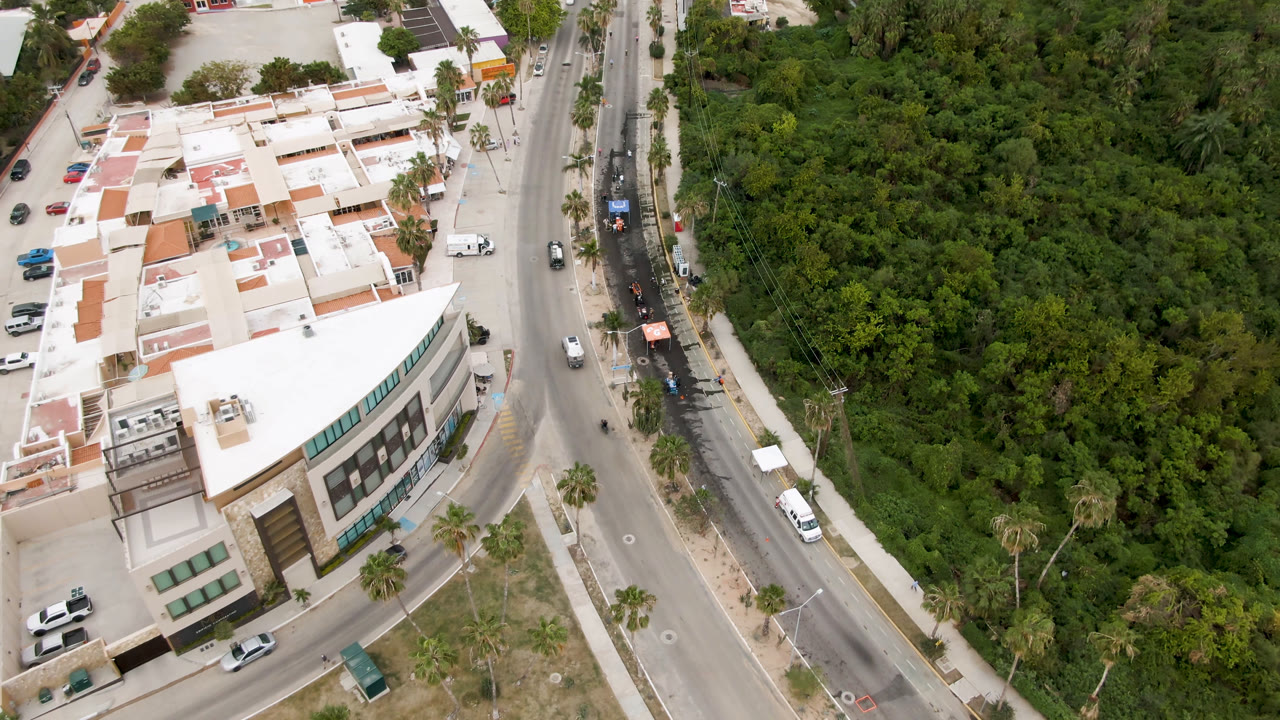 High drone frame in San Jose del Cabo with the road running vertically past low buildings and palms, while dense trees fill the right side and no visible people appear.
