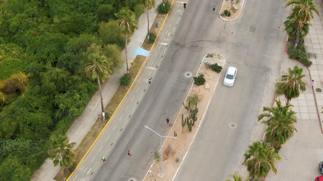 Overhead view of a palm-lined divided road with a white car and planted median.