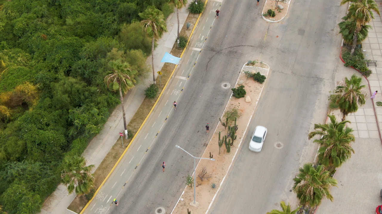 Aerial San Jose del Cabo road frame with the white car moving through the right lane, a landscaped median below it, palms on both sides, and tiny pedestrians or cyclists visible at a distance.