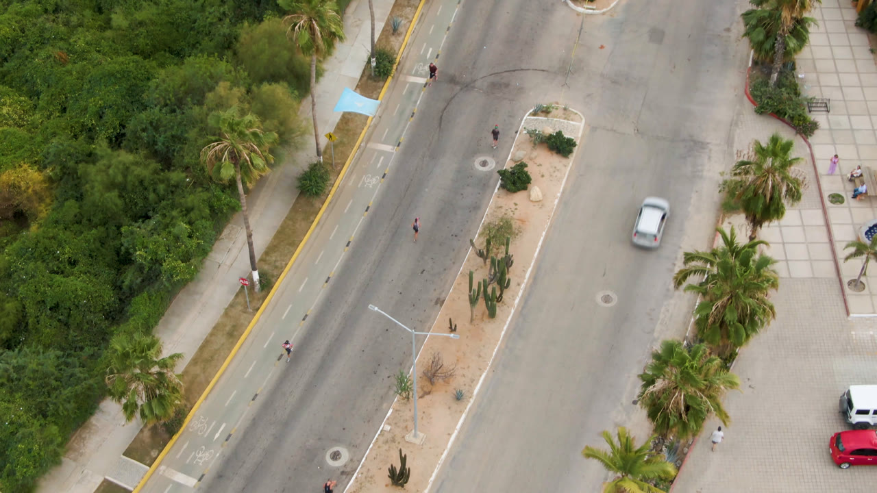 Aerial view over a San Jose del Cabo road with palm trees, dense green planting, sidewalks, a landscaped median, and a white car near the center of the frame.
