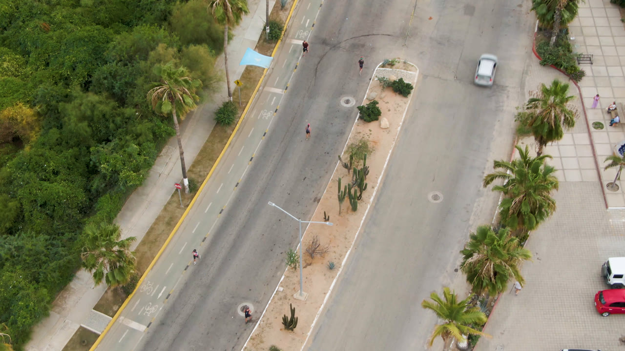 Aerial frame in San Jose del Cabo showing the road from above with sidewalk grids, palm trees, dense greenery, a white vehicle, and red parked car near the lower right.