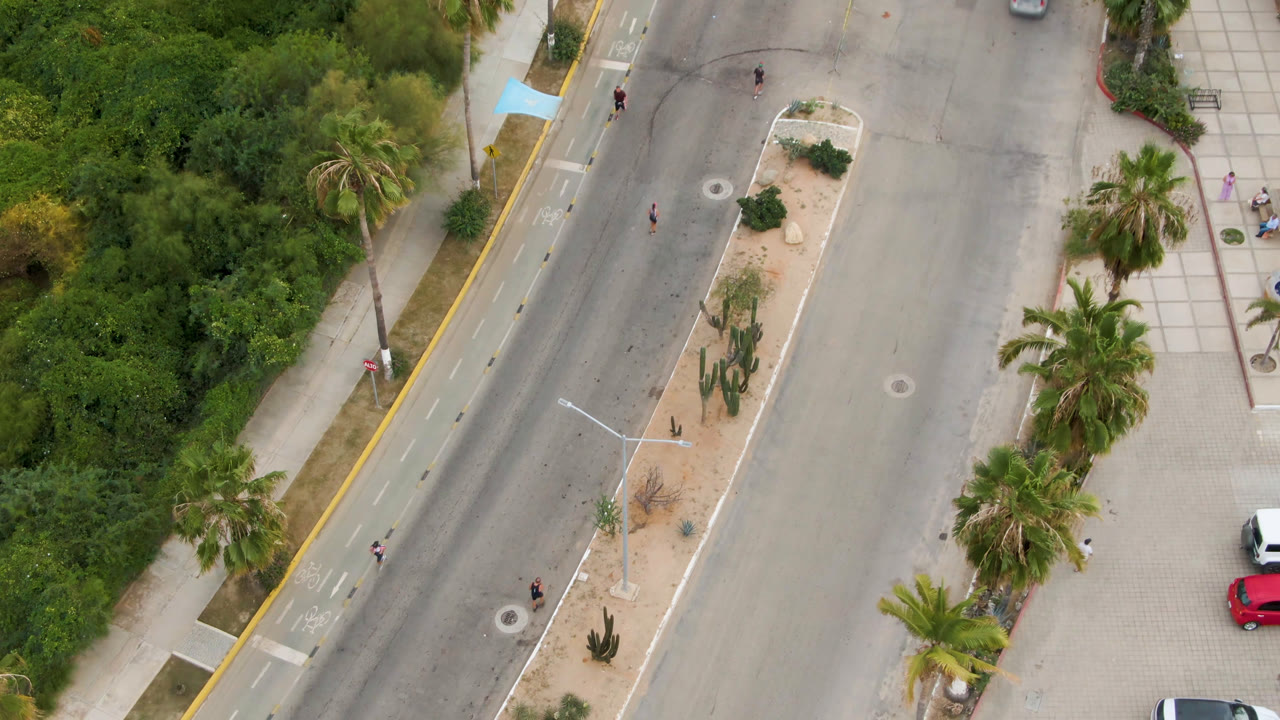 Top-down road view with palms, planted median, sidewalks, and sparse vehicles.