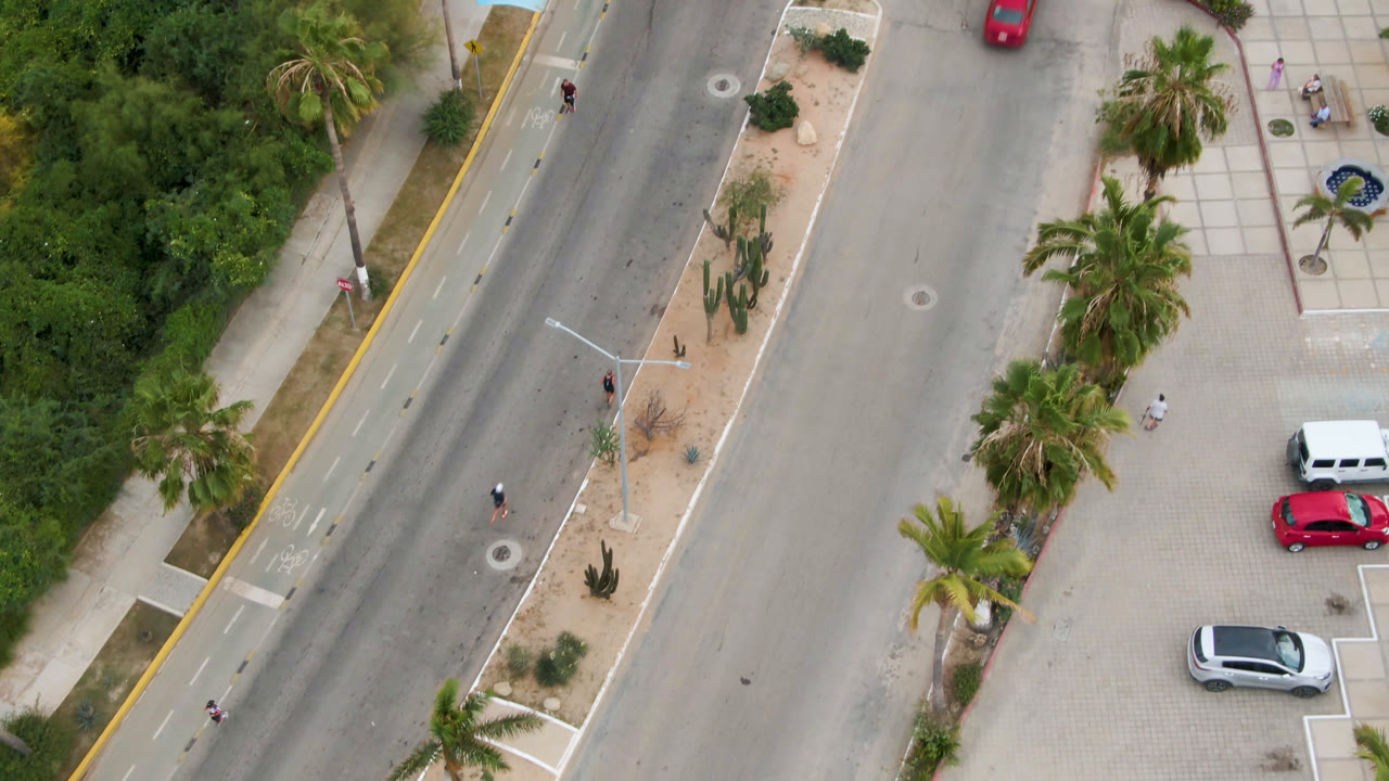 Overhead view in San Jose del Cabo, Baja California Sur, showing a divided street, palm trees, planted sidewalks, parked cars, and tiny distant pedestrians or riders near the road edge.