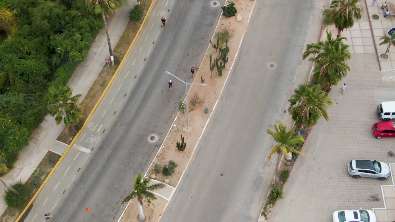 Top-down road beside palms, sidewalks, shrubs, and parked vehicles.