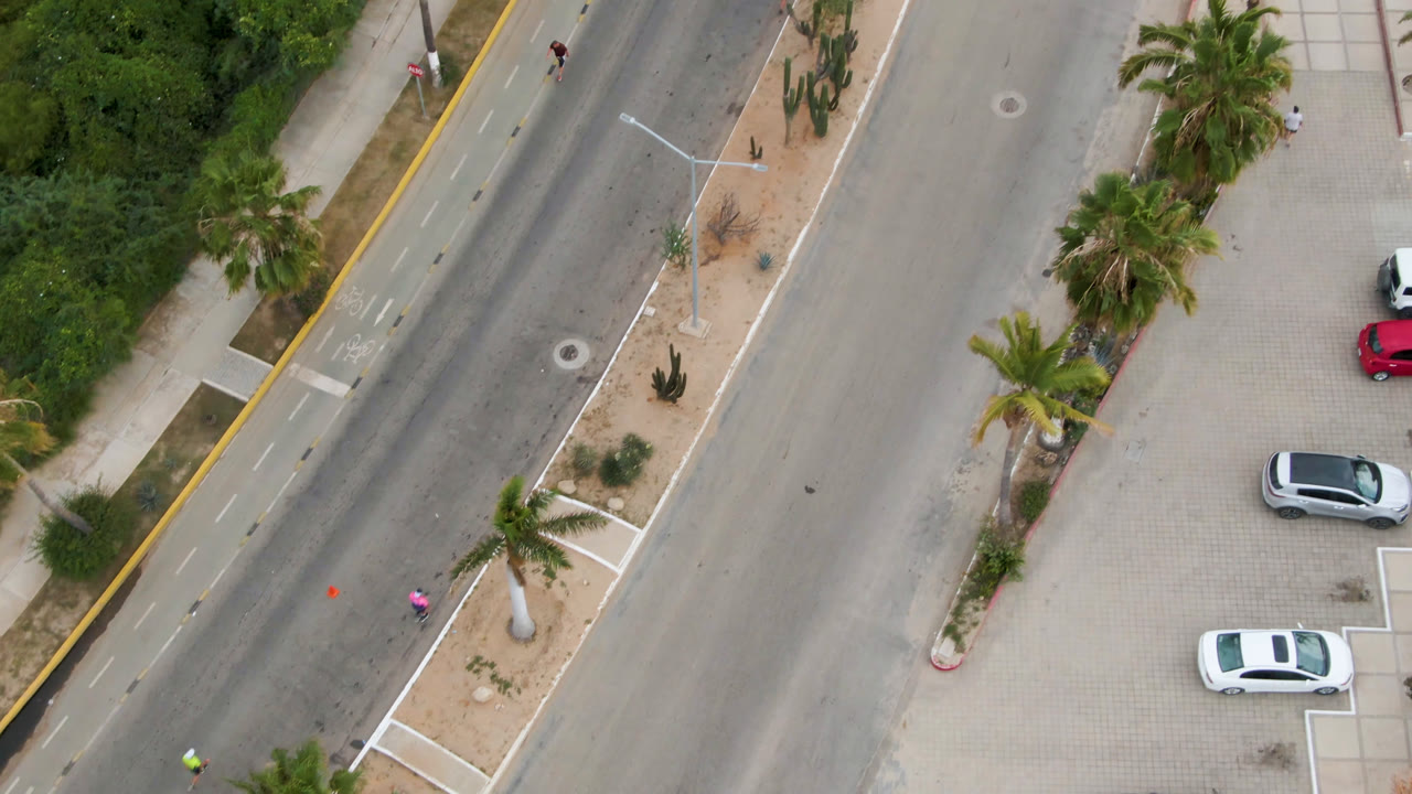 Overhead road with parked cars, palms, sidewalks, and planted medians.