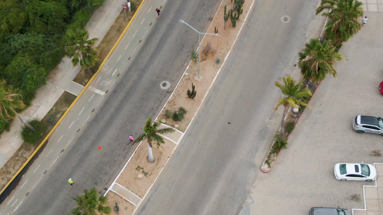 High overhead San Jose del Cabo frame with white and gray parked cars, diagonal roadway, palm trees, desert planting beds, sidewalks, and tiny distant road users.