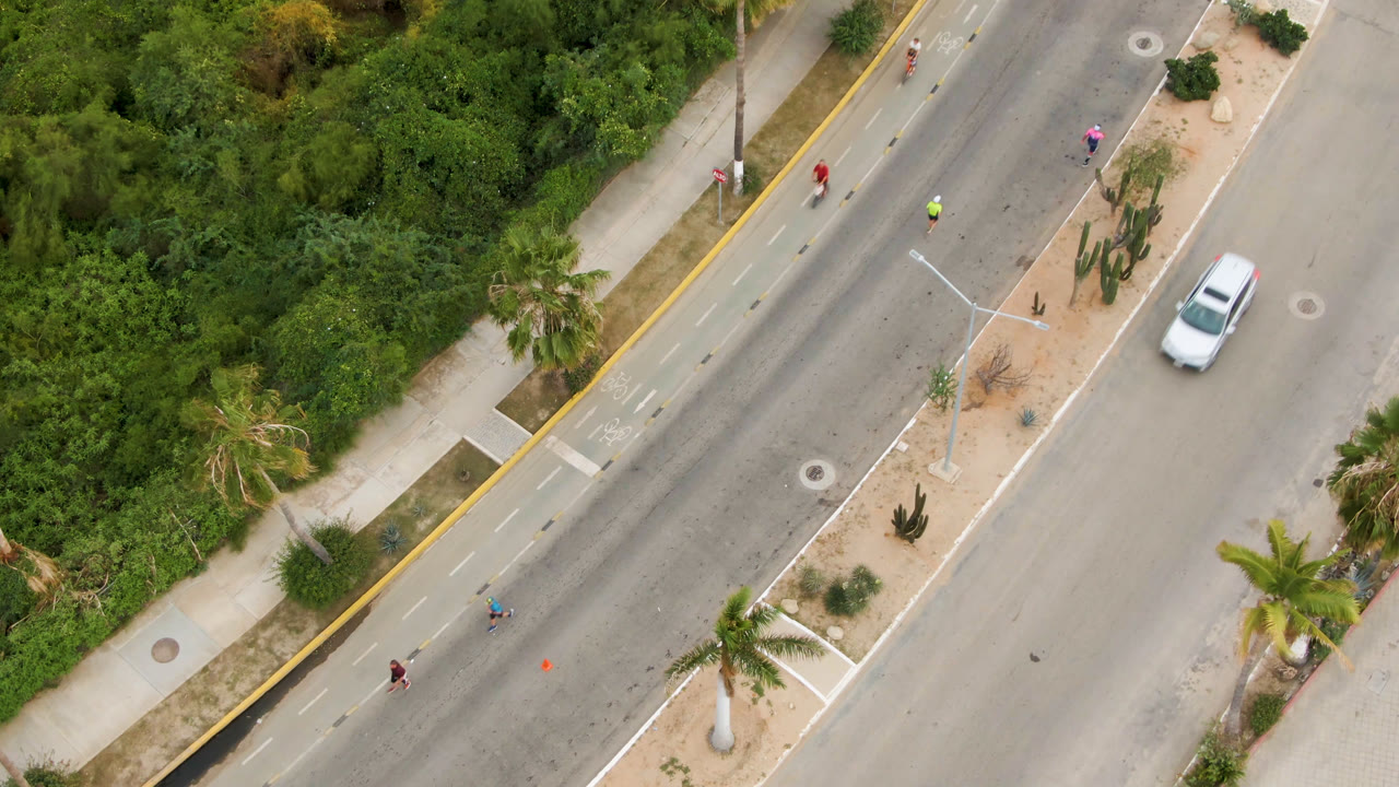 Top-down aerial view in San Jose del Cabo, Baja California Sur, showing a white car near the upper right of a wide road, a parallel bike lane, palms, desert planting, and dense green vegetation.