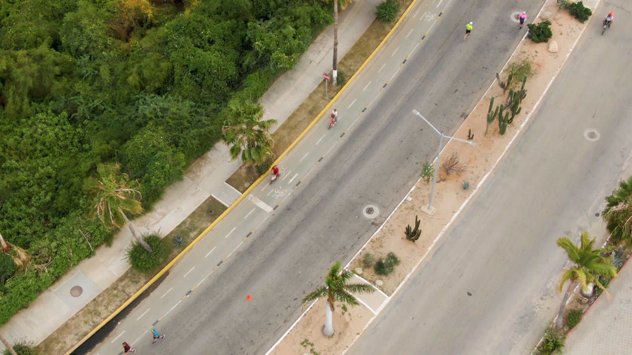 Aerial view in San Jose del Cabo after the white car has left the visible area, showing the diagonal street, bike lane, sidewalks, palms, roadside planting, and tiny road users.