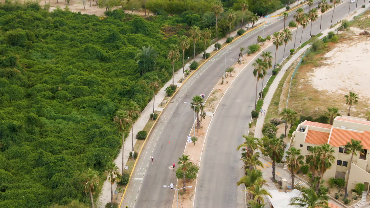 Aerial view of a curving road beside dense greenery and orange-roofed buildings.