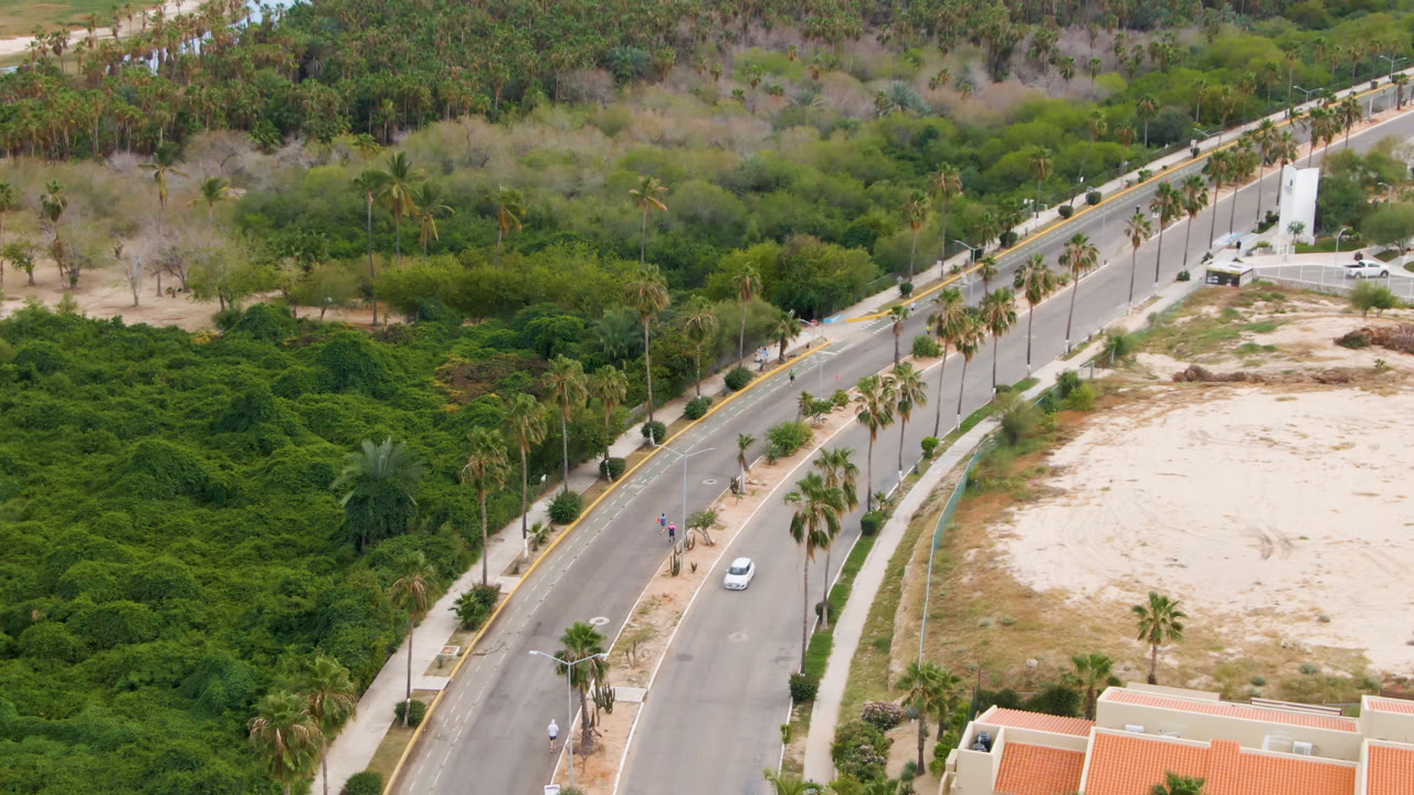 High-angle aerial view in San Jose del Cabo showing a curving paved road beside palms, dense green vegetation, sandy open ground, and red tile roofs at the lower edge, with no visible people.