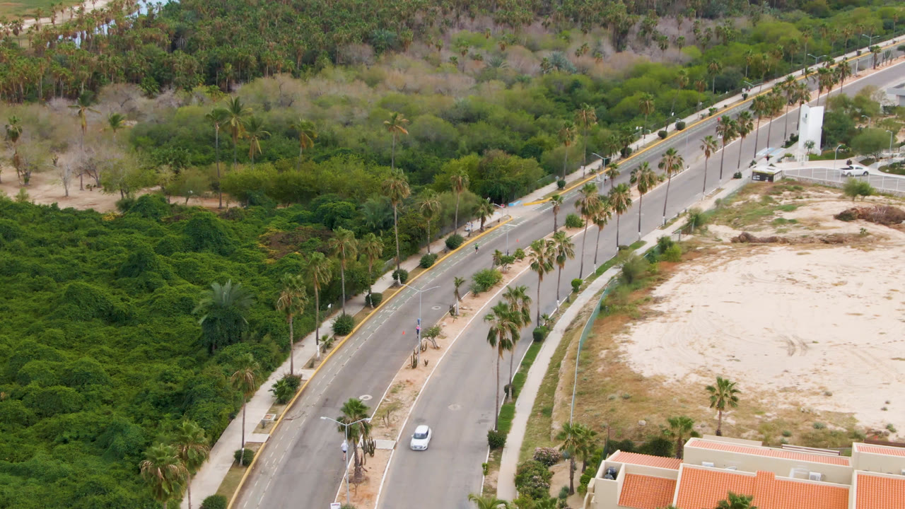 Palm-lined road curves through green vegetation beside sandy open terrain.