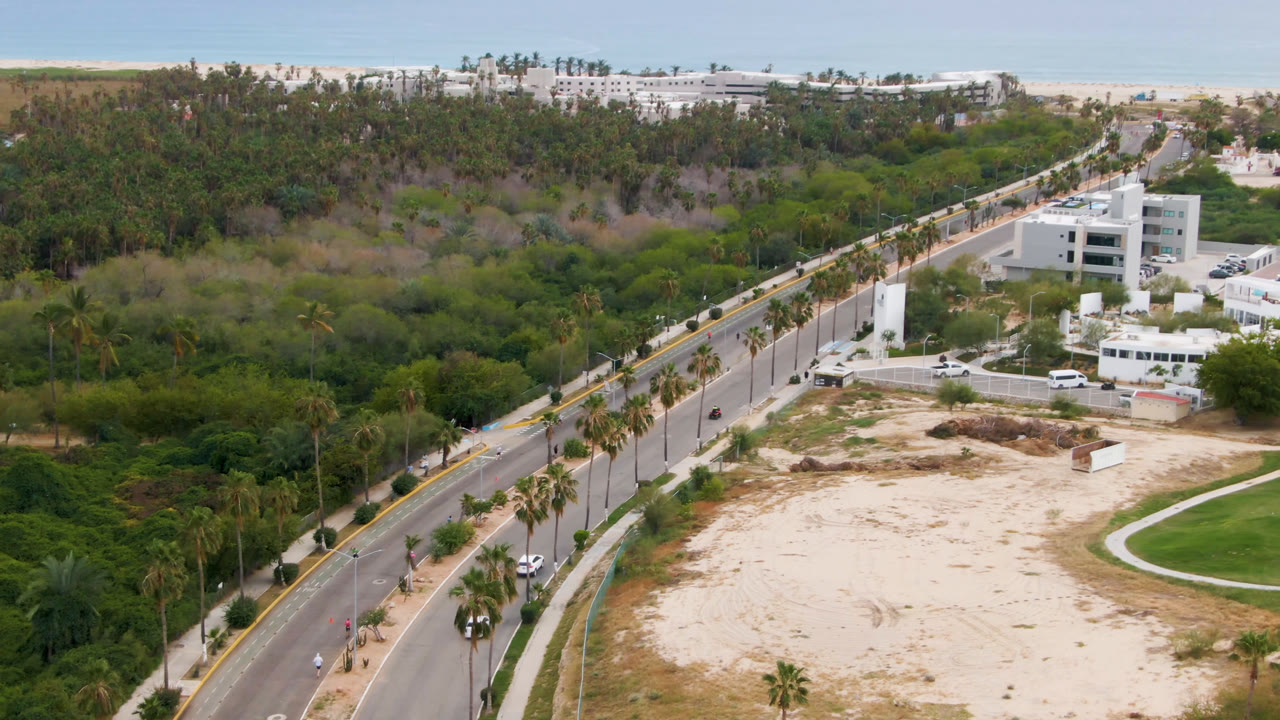 High aerial view in San Jose del Cabo showing a diagonal palm-lined road, sandy open ground, green trees, white buildings, beach, pale ocean, and no visible people at the start of the clip.