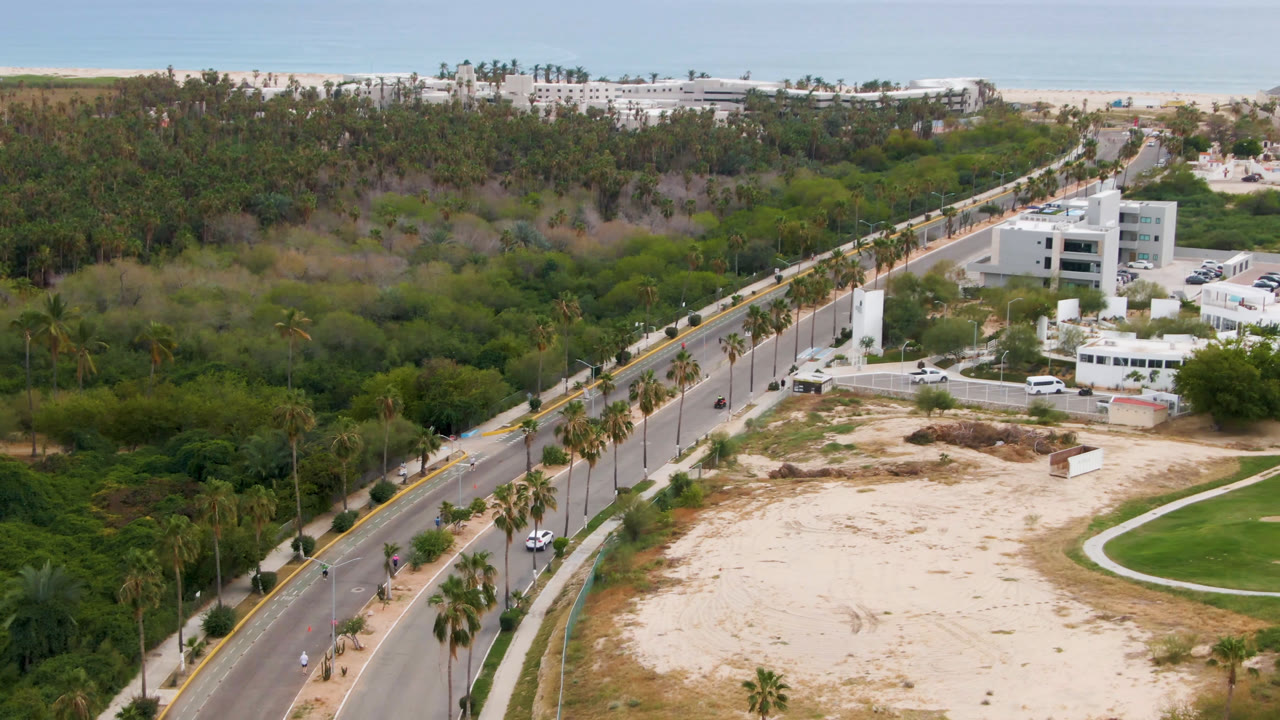 Aerial frame from San Jose del Cabo with the road centered diagonally, white low-rise buildings to the right, dense trees to the left, beach and ocean beyond, and no visible people.