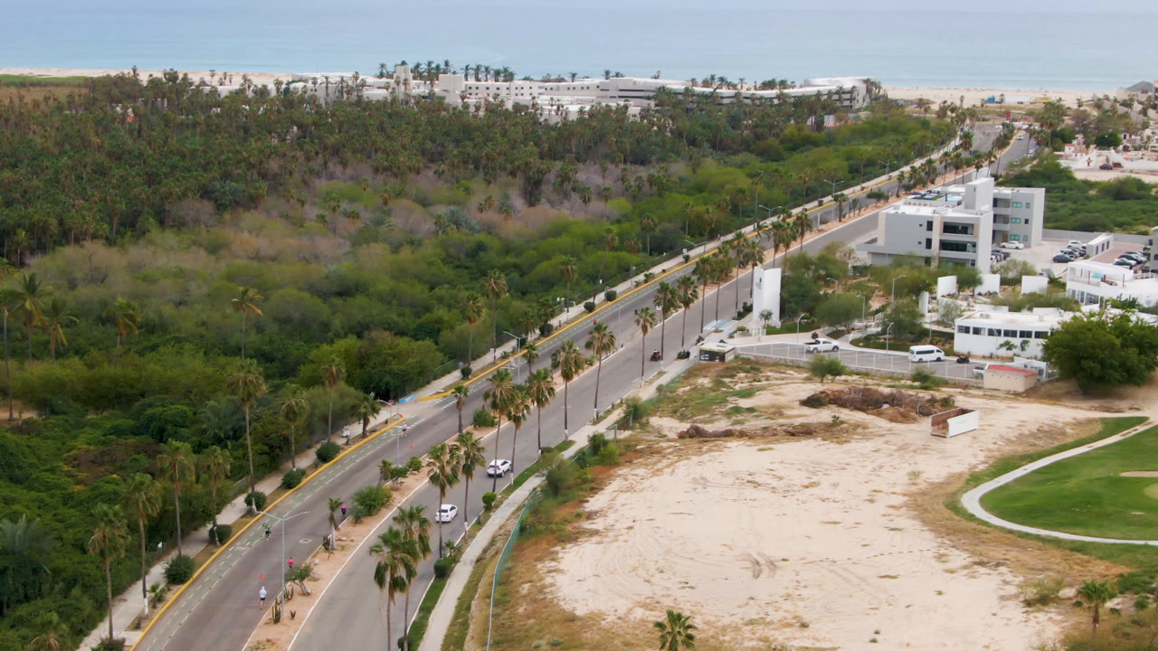 Wide aerial coastal view with road, palms, white buildings, trees, and beach