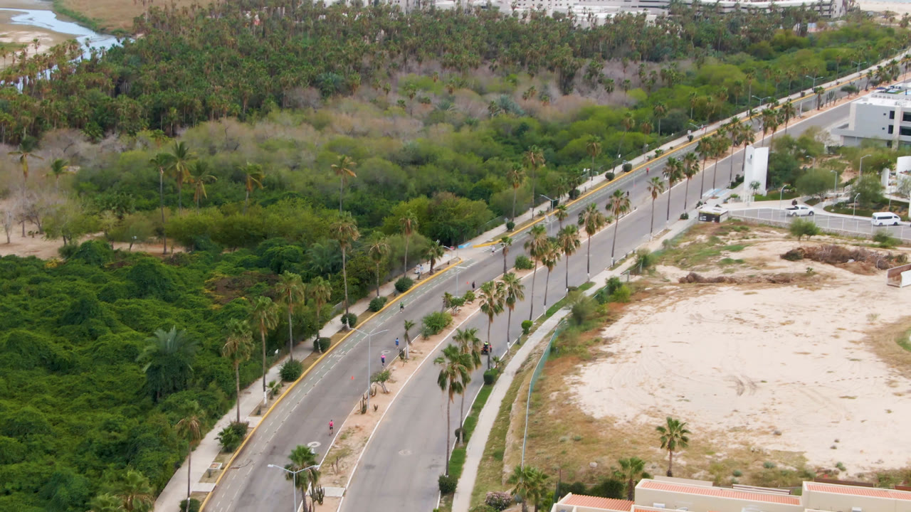 High aerial view in San Jose del Cabo, Mexico, showing a palm-lined road, dense green vegetation, a pale sandy lot, white buildings, and distant beach water, with no visible people.
