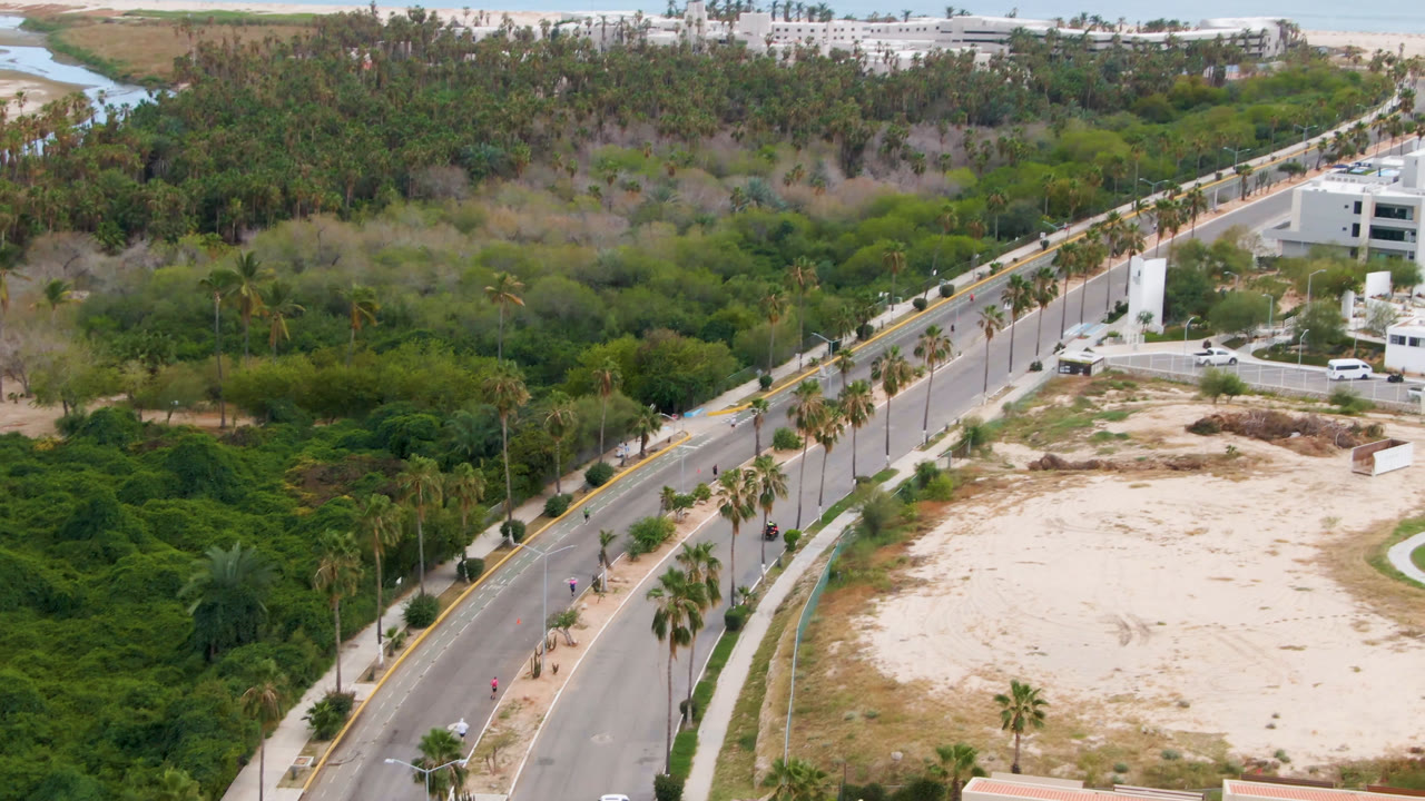 Aerial frame over San Jose del Cabo with the paved road running diagonally past palms, a sandy open area, white low-rise structures, thick vegetation, and a distant strip of beach, with no visible people.