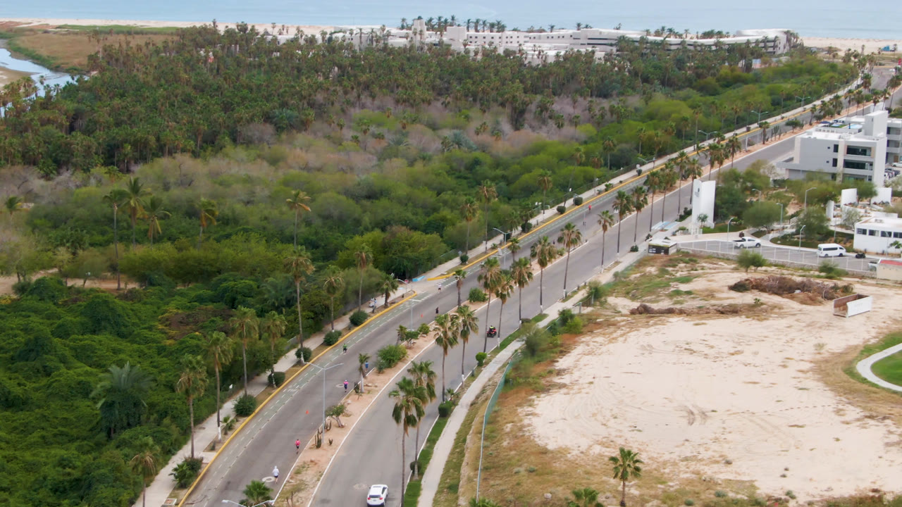 Drone-height view of a coastal road beside palms, a sandy lot, greenery, and low buildings.