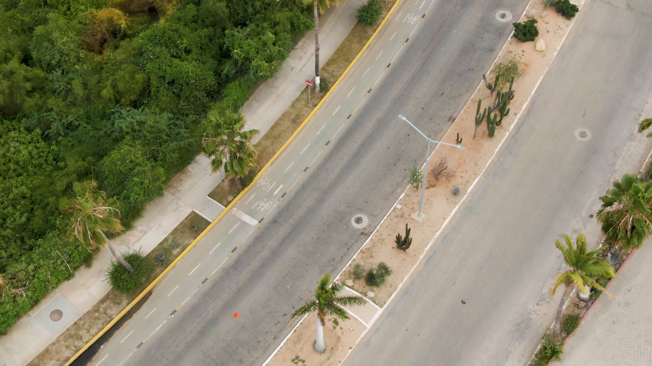 High overhead view in San Jose del Cabo of a diagonal paved road beside dense green vegetation, sidewalks, palms, and cactus planting, with no visible people.