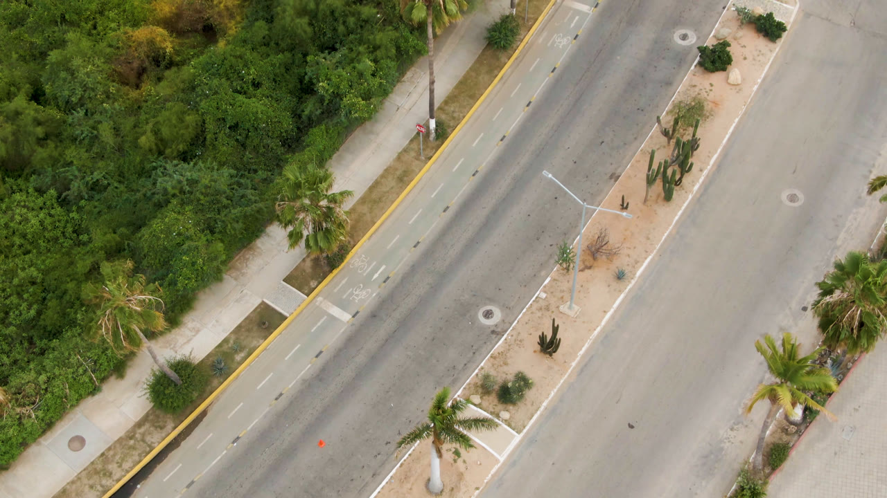 Aerial frame over San Jose del Cabo showing the road shifted slightly through frame, with palms, cacti, sandy planting beds, sidewalks, and no visible people.