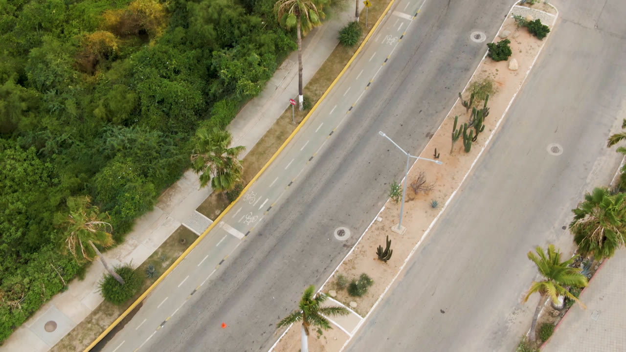 Top-down street view with green trees and a planted median.