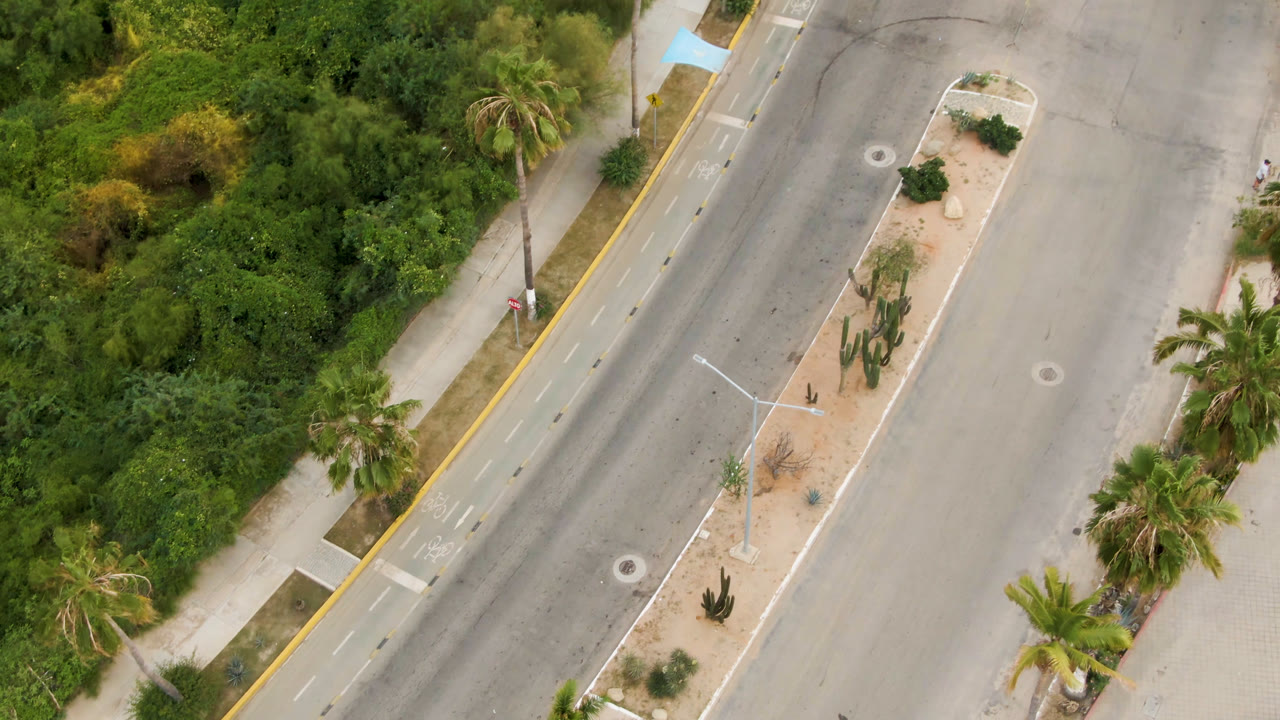 Overhead frame from San Jose del Cabo showing a paved divided road, planted median, sidewalks, palms, and dense green vegetation at the start of the clip, with no clearly visible people.