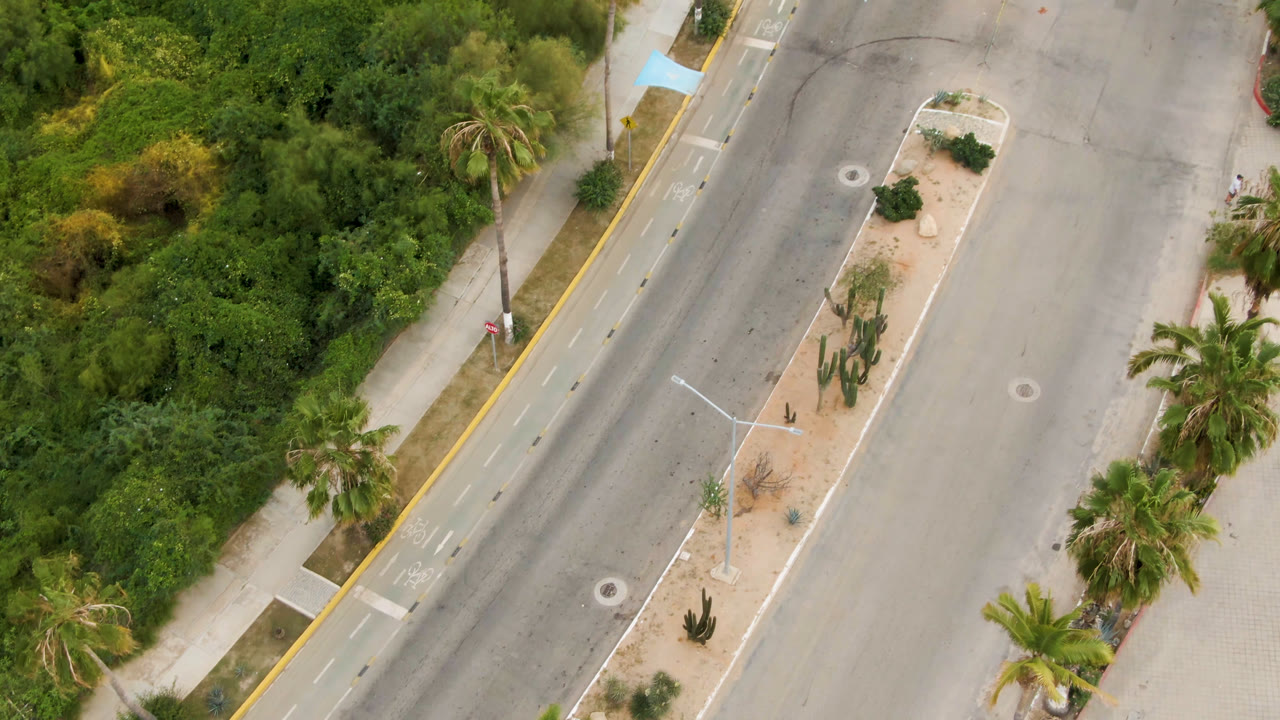 Second overhead view in San Jose del Cabo with the diagonal roadway, landscaped median, palm trees, sidewalks, and thick green vegetation filling the side of the frame.