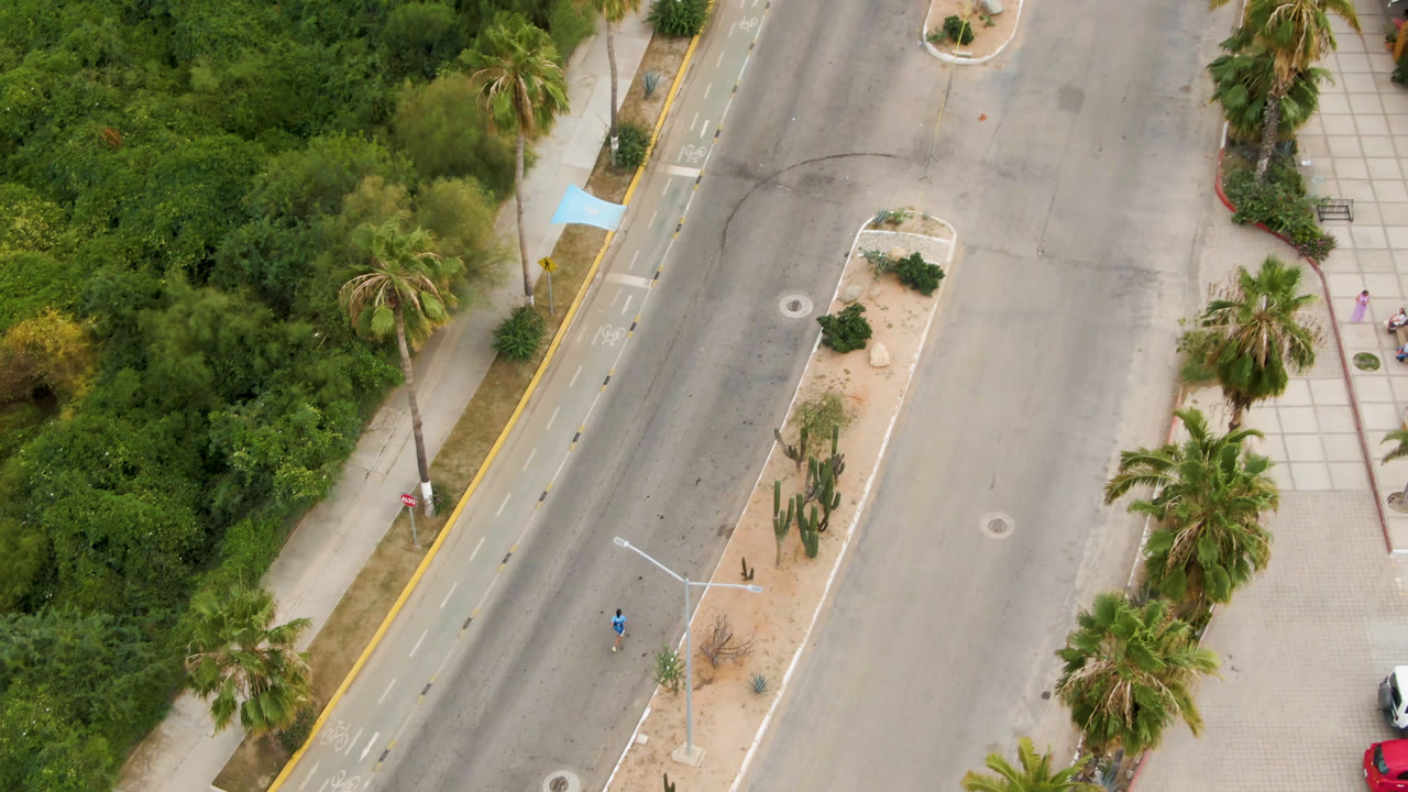 High aerial view over a divided road in San Jose del Cabo, with a planted median, palms, sidewalks, dense greenery, and a tiny distant figure on the roadway.