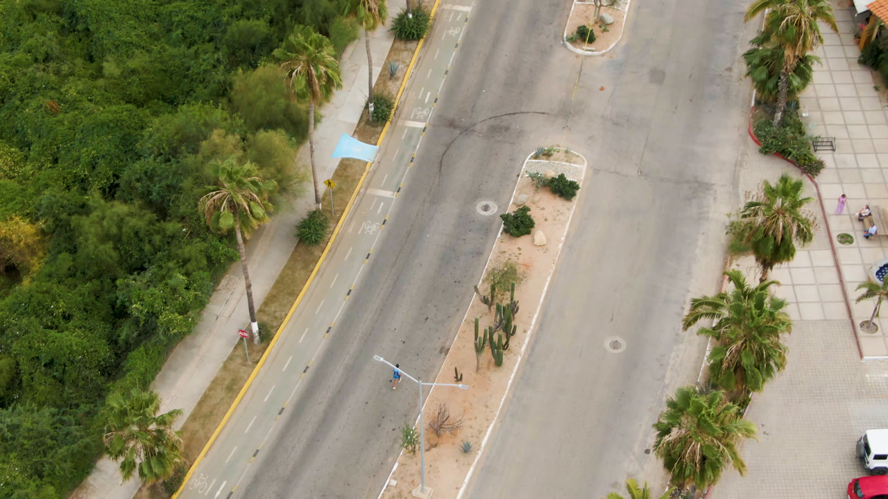 Overhead San Jose del Cabo street frame with the palm-lined median centered, sidewalk paving on the right, dense greenery on the left, and small vehicles near the lower edge.