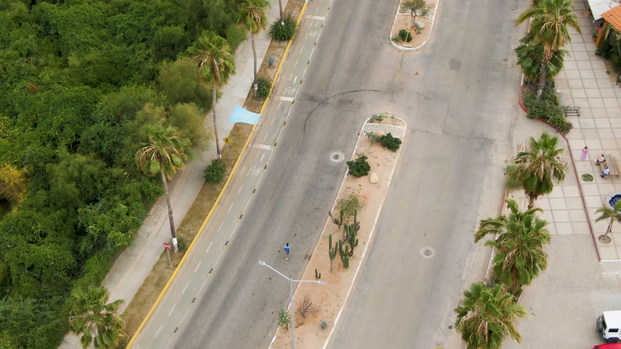 Drone view of a quiet road beside palms, sidewalks, greenery, and a white vehicle at the edge.