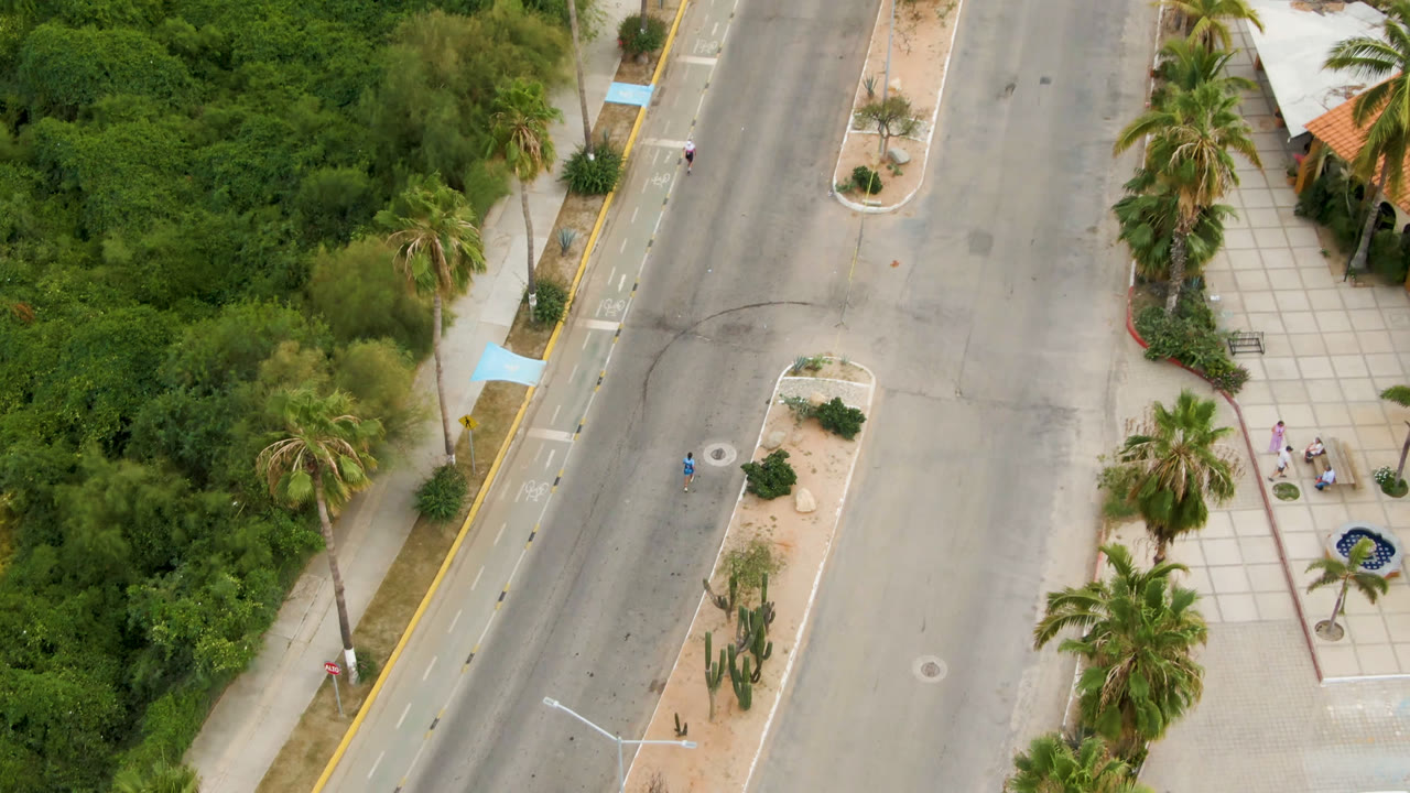 Aerial view of a quiet road, palms, sidewalks, and runners near dense greenery.