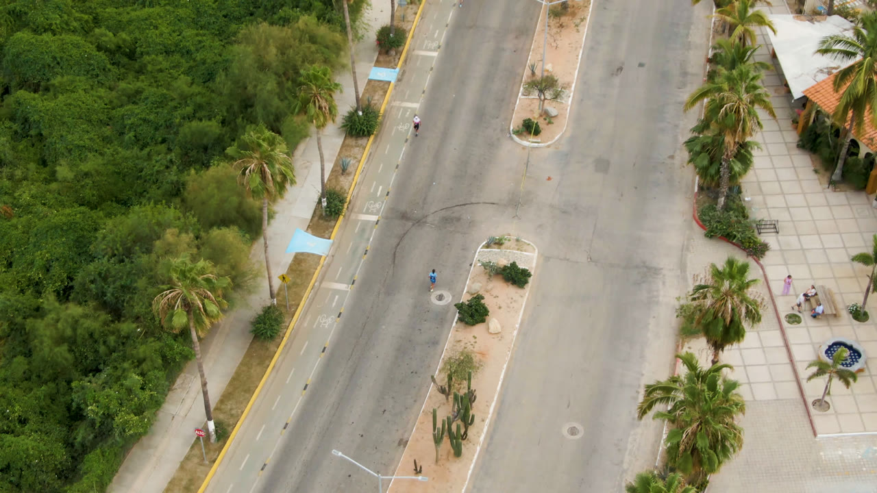 Aerial frame from San Jose Del Cabo, Mexico with runners spaced along the road and sidewalk, palms beside a tile-roof structure, and heavy green vegetation at the edge.
