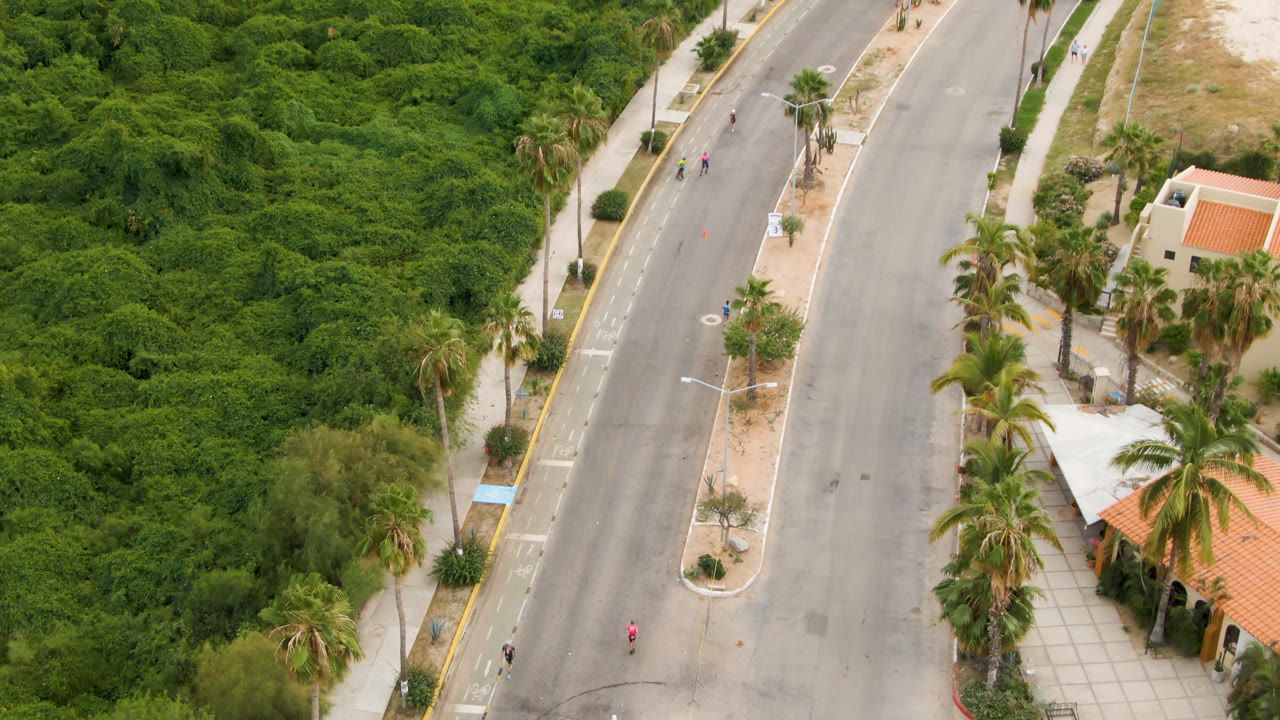 Aerial view of runners on a quiet palm-lined street beside dense greenery.