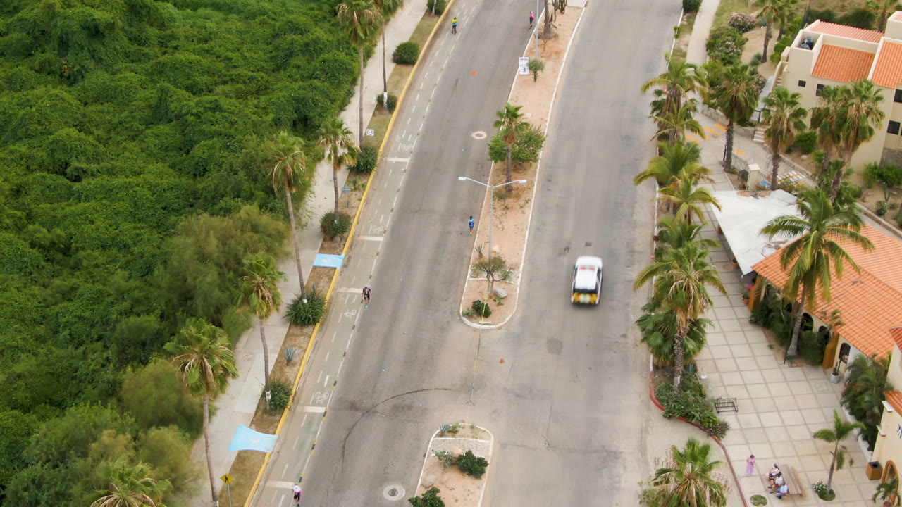 Aerial view of a quiet road beside dense greenery and palm-lined homes.