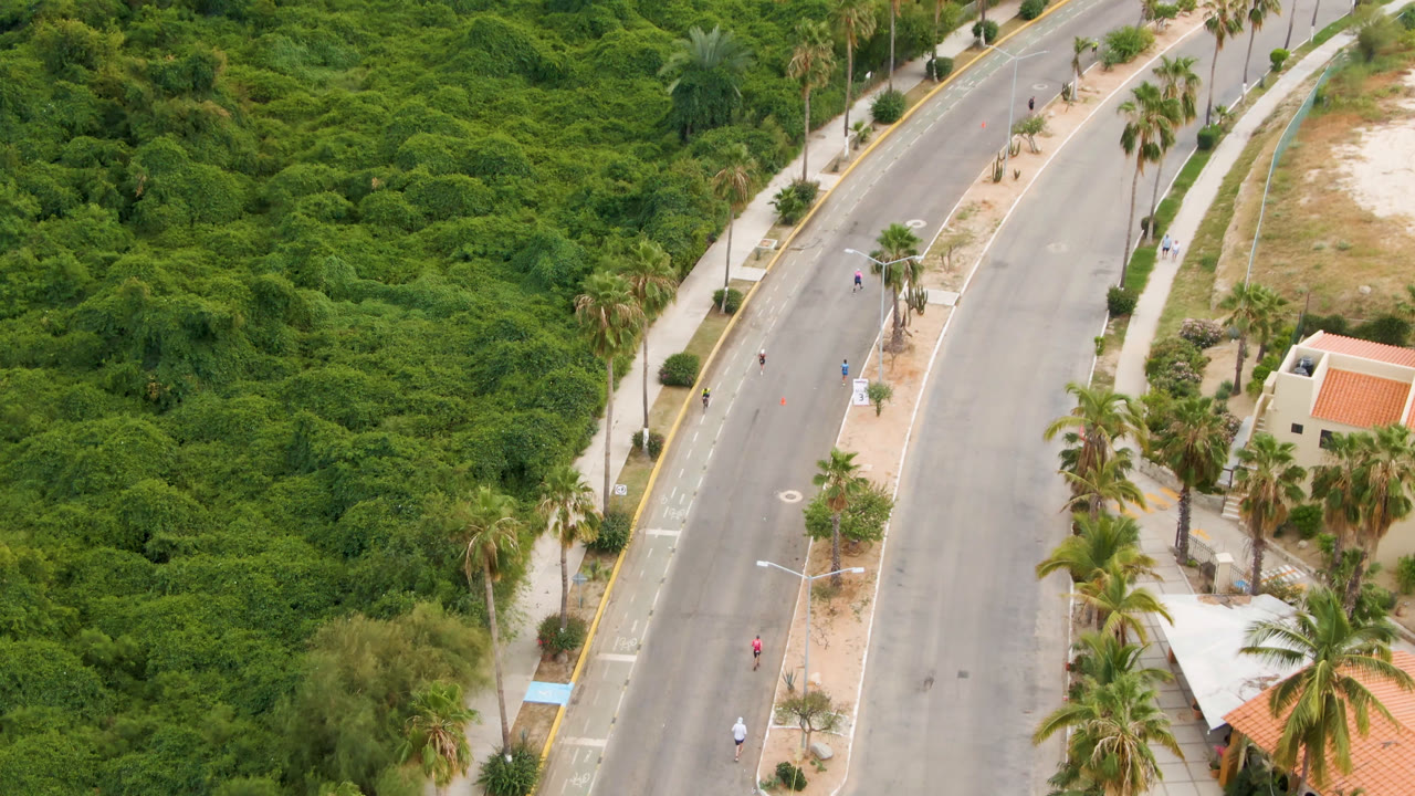 Aerial view of a curving road beside dense green vegetation and palm trees.