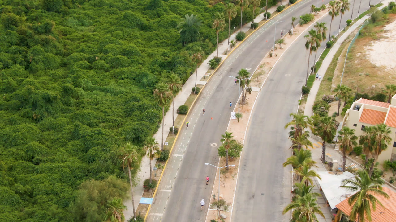 At 0:01, the San Jose del Cabo aerial view holds on the diagonal road, with palms and sidewalks along the edge and thick vegetation filling the surrounding lots, with no discernible people.