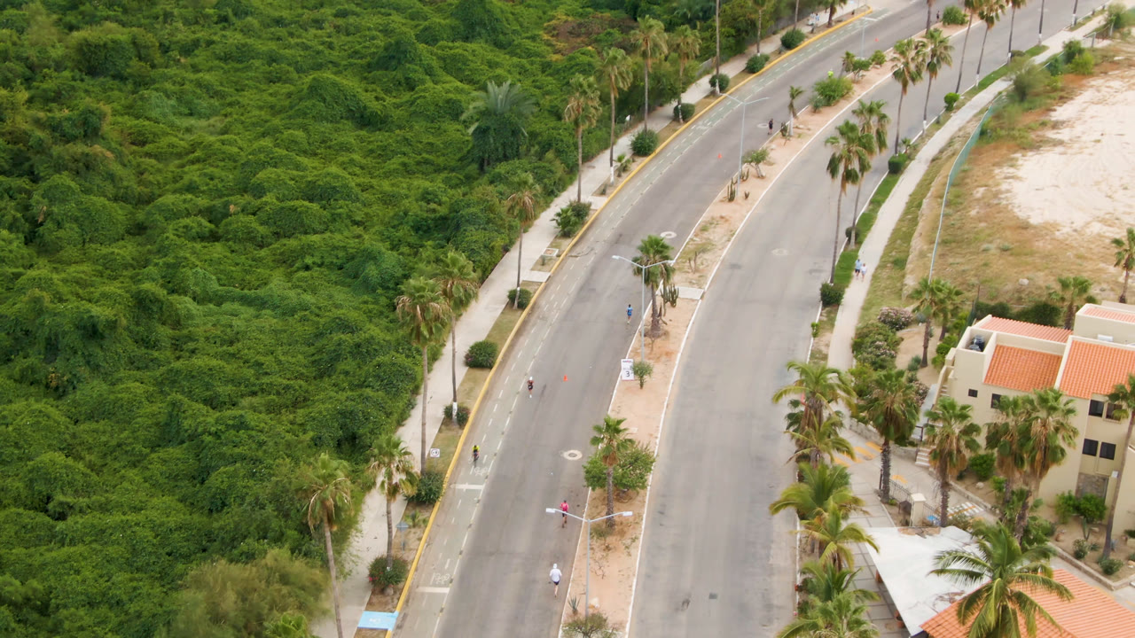 Curved road bordered by dense greenery, palms, sidewalks, and low buildings.